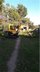 Action 8000 arbres
