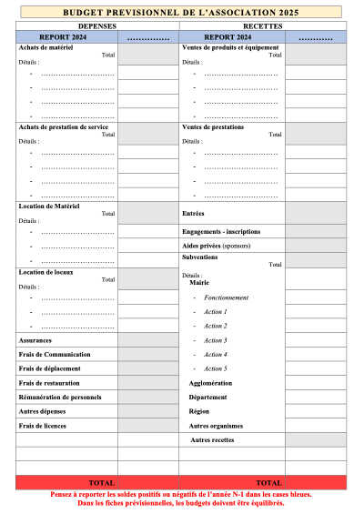 05 FICHE BUDGET PREVISIONNEL 2025 - Formulaire