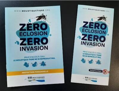 EID-zero-eclosion-scaled-e1653309753671