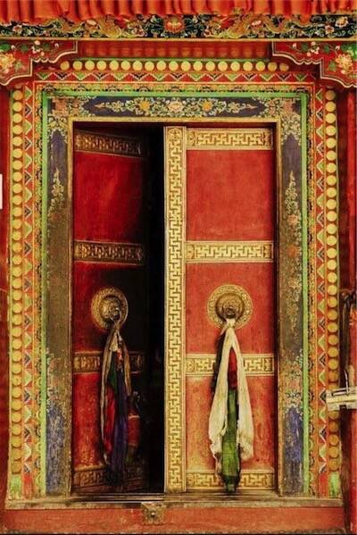 Les racines du ciel conf 18 avril