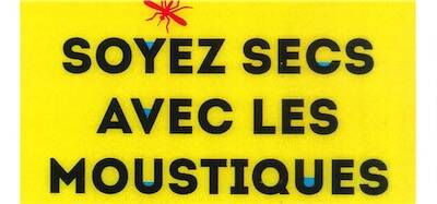 Moustiques_PS