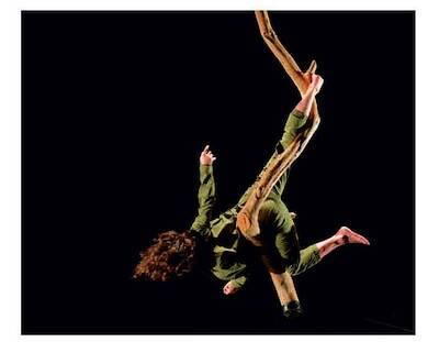 Obstinees-e1667831539612