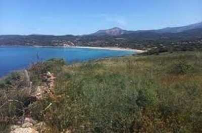 Appel à candidatures : Projet d’exploitations viticoles et agropastorales sur le domaine public du Conservatoire du littoral