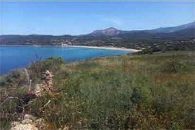 Zone-viticole-littoral