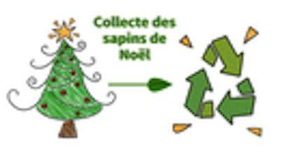 collecte-sapins-de-NOEL
