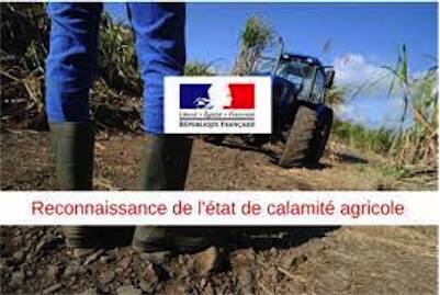 reco-calamite-agricole-avril-2021-1