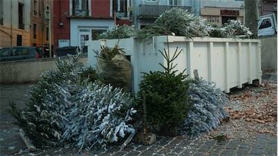 sapins-recycles